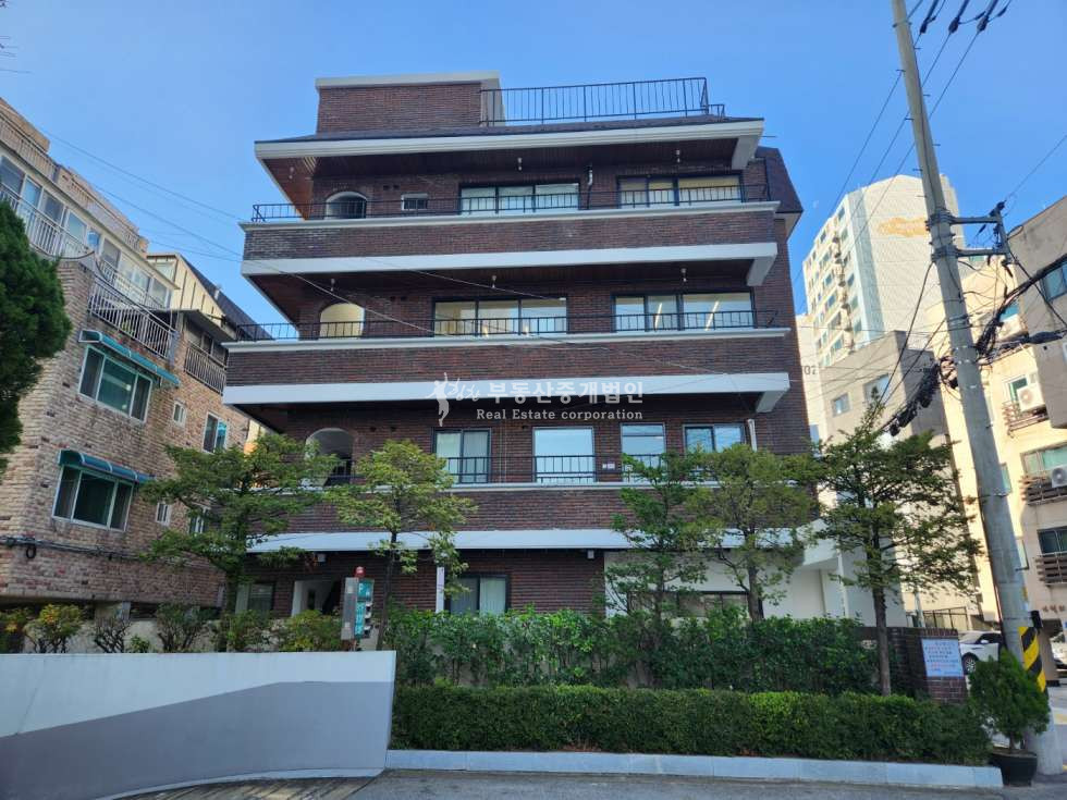 서울 마포구 망원동 망원공원 인근 주거배후 갖춘 올근생 리모델링 건물 매매 매물번호 12196 사진 4