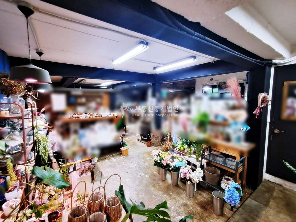 서울 마포구 서교동 패션거리, 커피프린스거리 인근 지하 상가 추천드립니다. 월세 매물번호 11496 사진 5