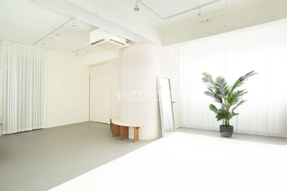 서울 마포구 망원동 망원시장 인근 대로변 깔끔한 외관 건물 스튜디오 업종 추천 월세 매물번호 12746 사진 3