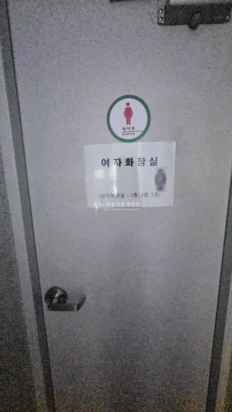 서울 마포구 서교동 나무뷰 숲속뷰 햇살좋은 네모반듯 사무실 월세 매물번호 13805 사진 10