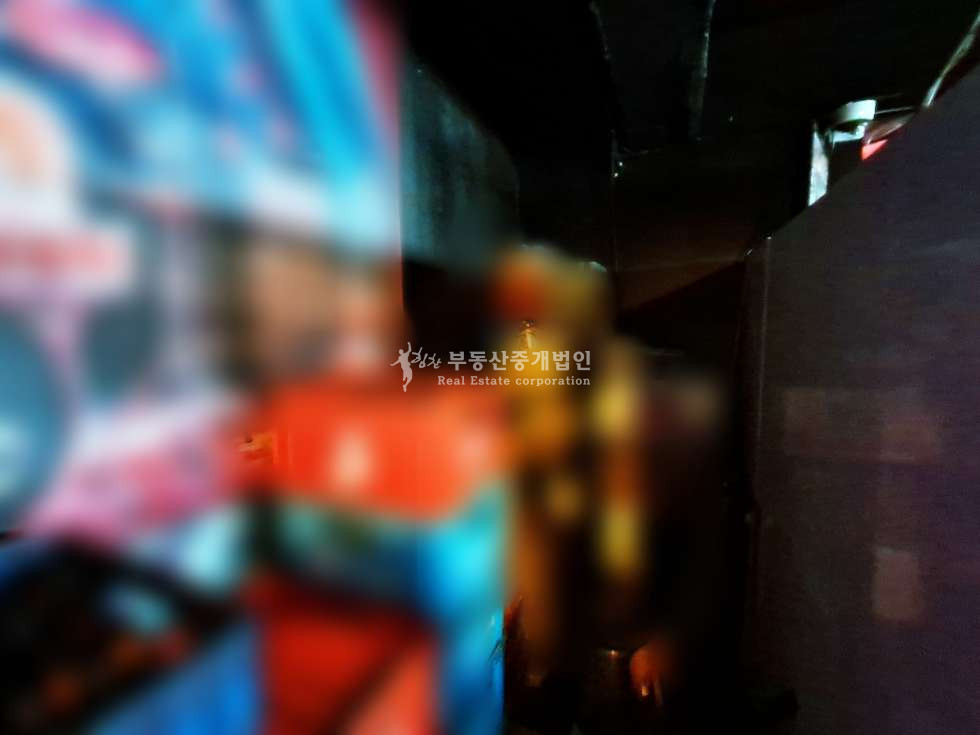 서울 마포구 망원동 라이브 바, 공연장, 대형 호프 추천드립니다~ 월세 매물번호 12199 사진 13