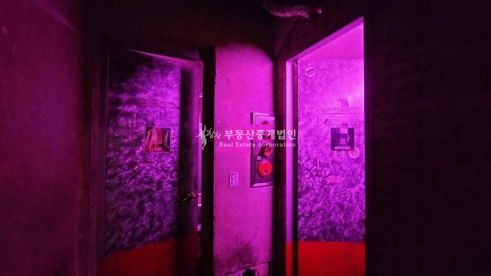 서울 마포구 서교동 365일ok l 클럽, 바 하기 좋은 위치와 높은층고 l 귀한자리 월세 매물번호 11344 사진 7