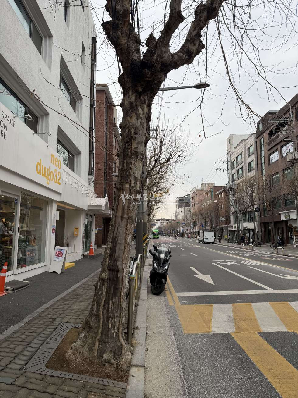 서울 마포구 성산동 망원역 역세권 I 대로변 I 무권리 I 사옥추천 I 통임대 월세 매물번호 12638 사진 3