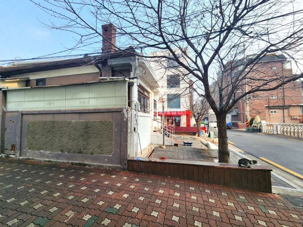 서울 마포구 망원동 망원시장, 망리단길 인근 실 사용 및 사옥형 추천 예쁜 올근생 건물 매매 매물번호 12399 사진 4