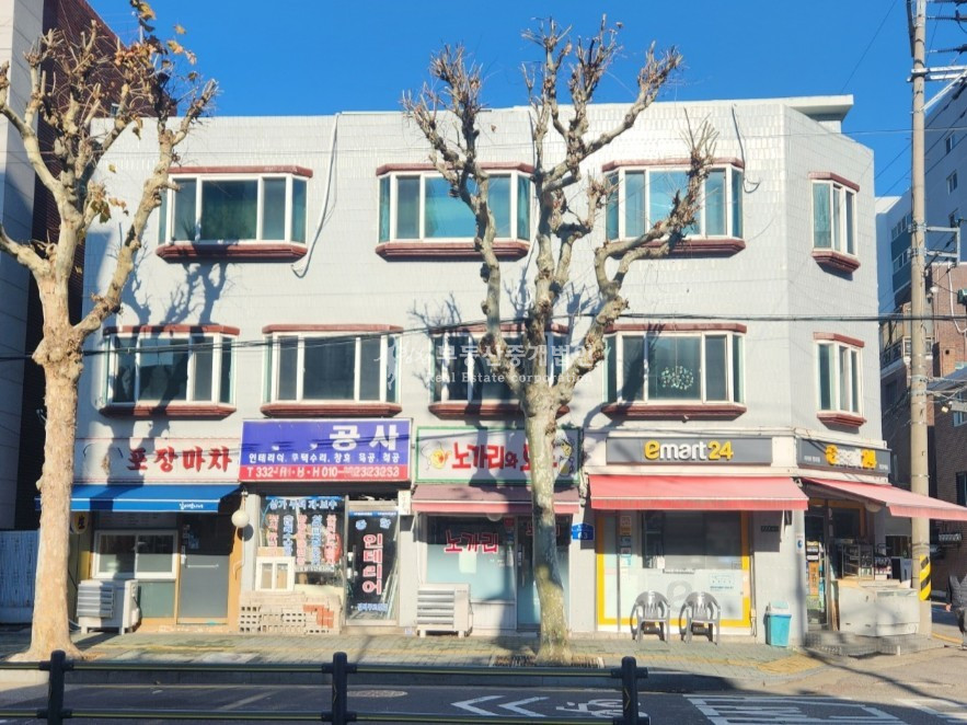 서울 마포구 망원동 망리단길 4차선 대로변, 명도 가능한 코너 빌딩 매매 매물번호 12262 사진 2