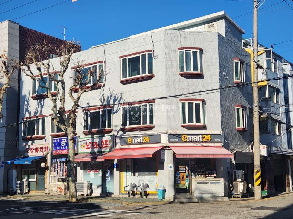 서울 마포구 망원동 망리단길 4차선 대로변, 명도 가능한 코너 빌딩 매매 매물번호 12262 사진 3