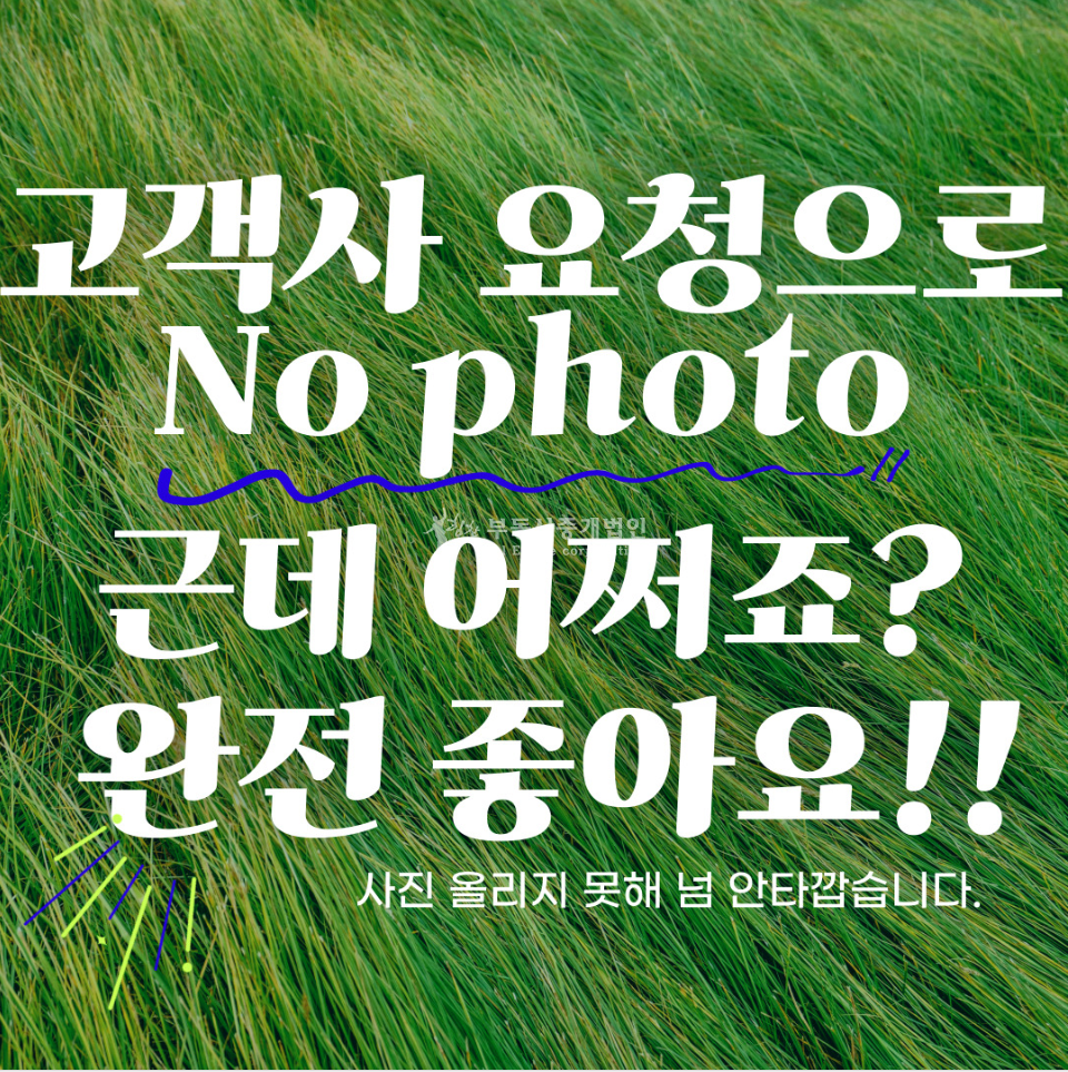 서울 마포구 염리동 대흥 공덕 대로변 경의선 숲길 뷰 인근 노출좋은 1층 상가 월세 매물번호 11966 사진 1