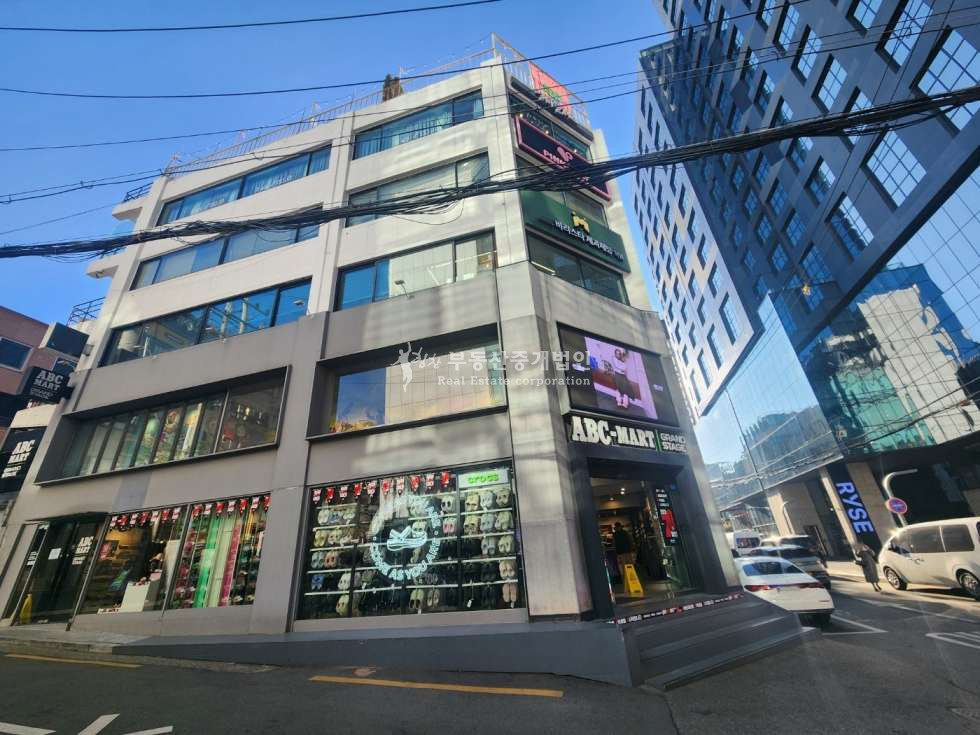 서울 마포구 서교동 유명 브랜드 입점, 홍대 메인입지 라이즈 호텔 인근 코너빌딩 매매 매물번호 10789 사진 2