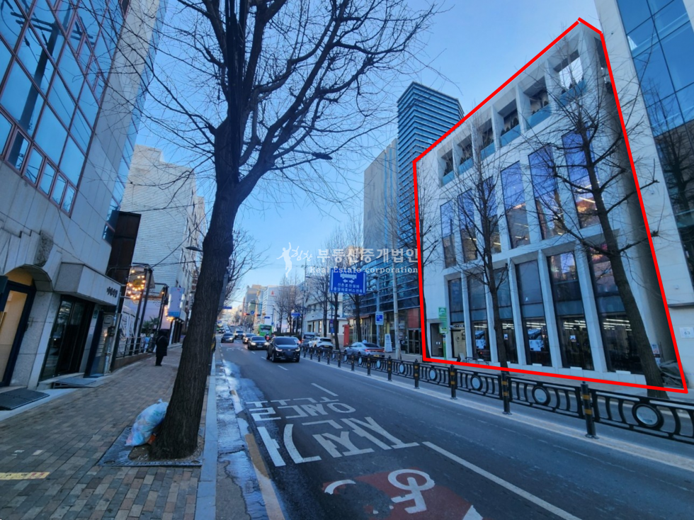 서울 마포구 서교동 합정역 역세권 대로변, 24년 리모델링, 자주식주차 7대, 올근생 임대만실 빌딩 매매 매물번호 12540 사진 4